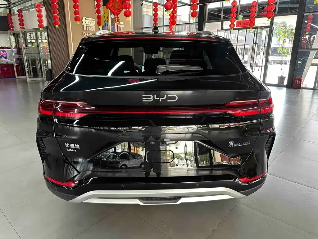 BYD PLUS New Energy — фото 7