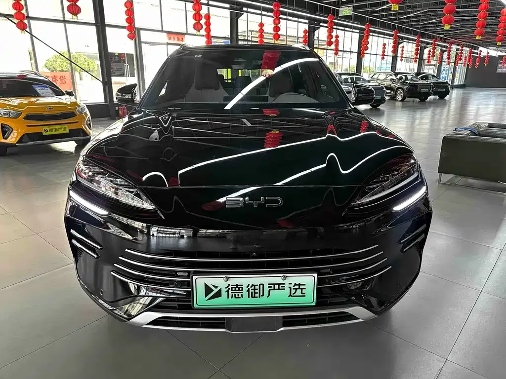 BYD PLUS New Energy — фото 3