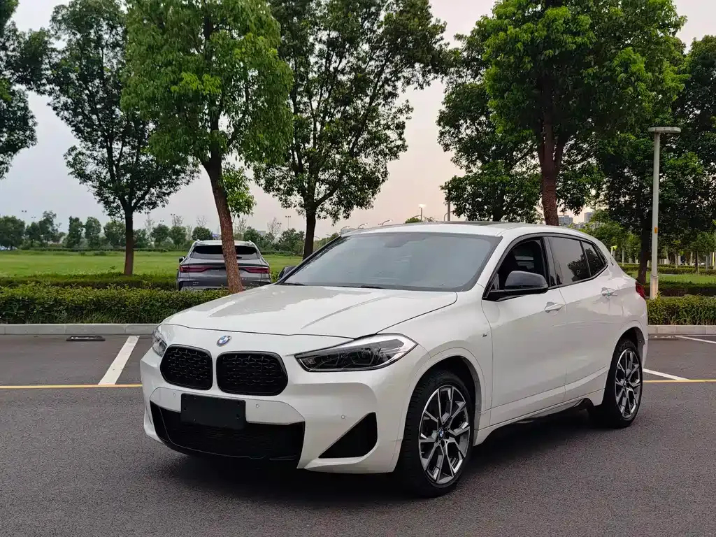 BMW X2 — фото 1