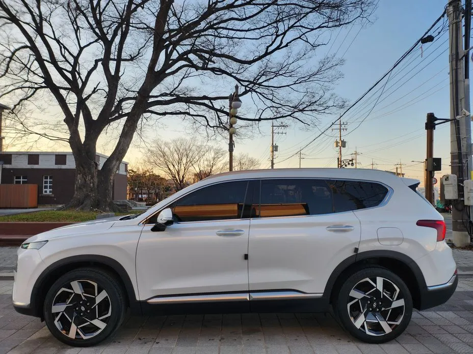 Hyundai Santafe — фото 10