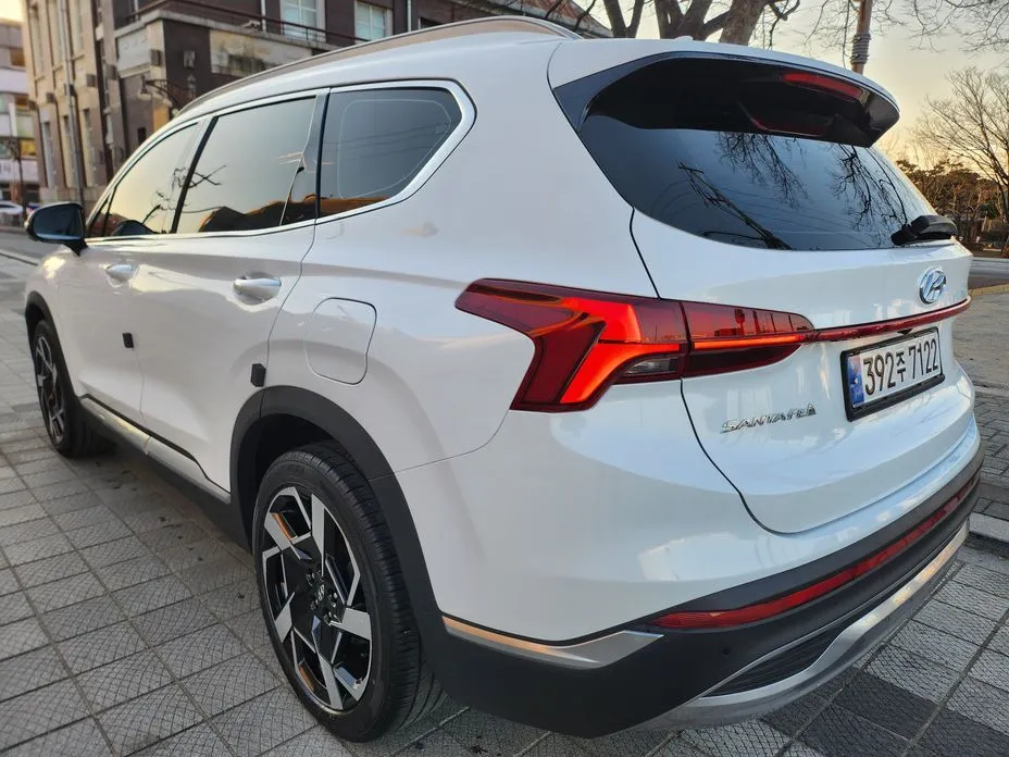 Hyundai Santafe — фото 6