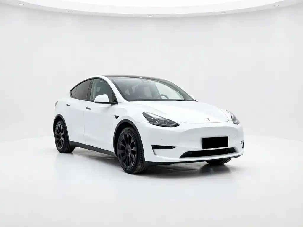 Tesla Model Y — фото 2