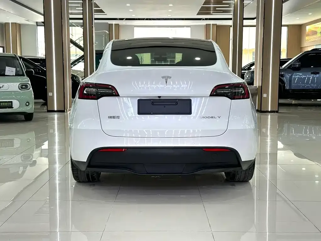 Tesla Model Y — фото 5