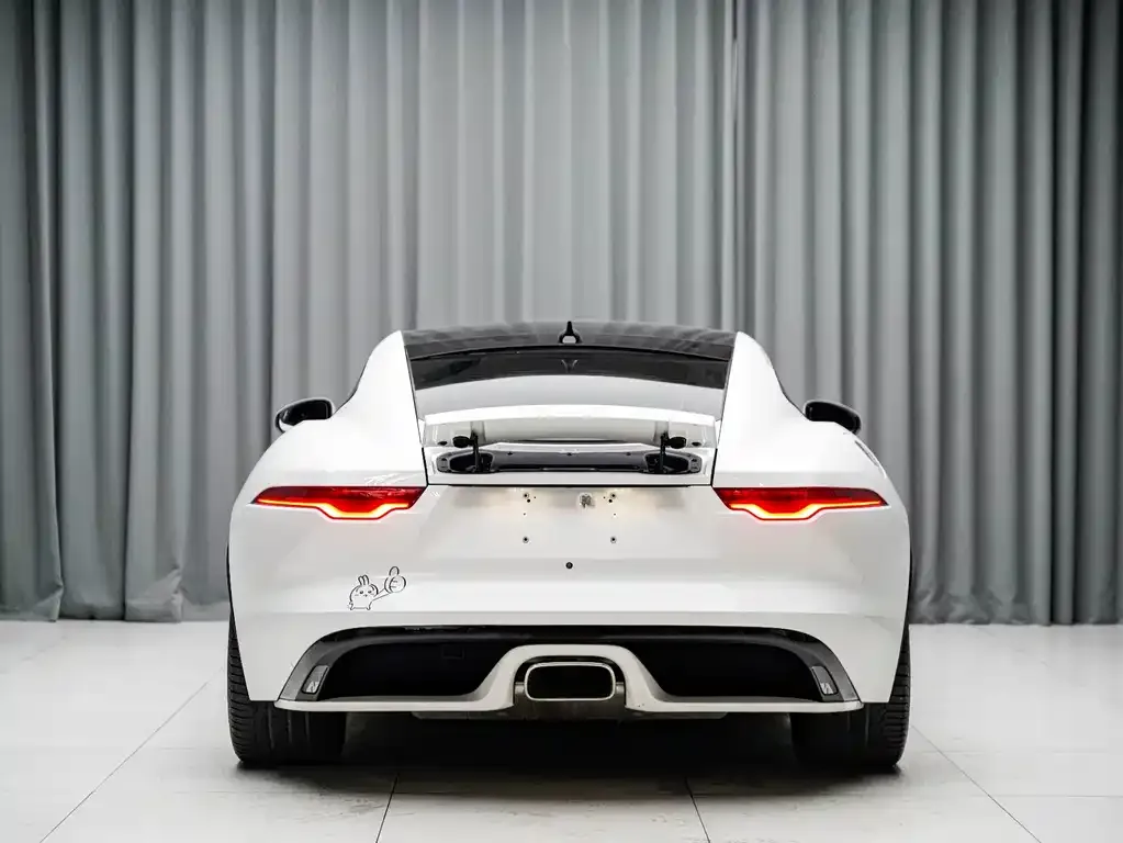 Jaguar F-TYPE — фото 6