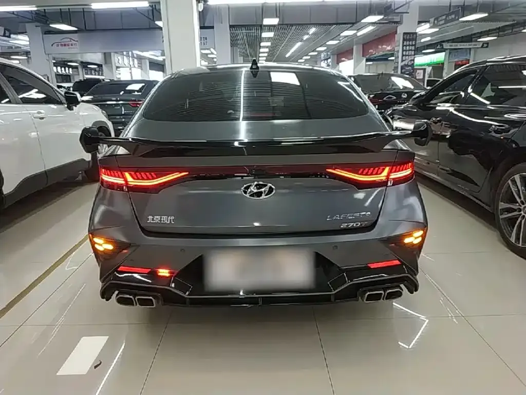 Hyundai Fista — фото 3