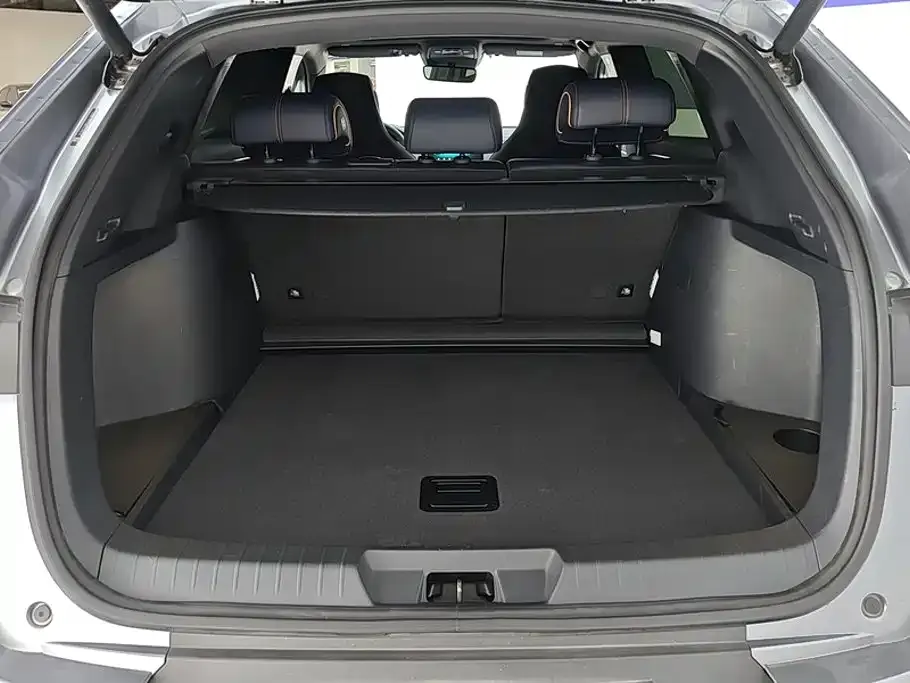 BYD PLUS New Energy — фото 3
