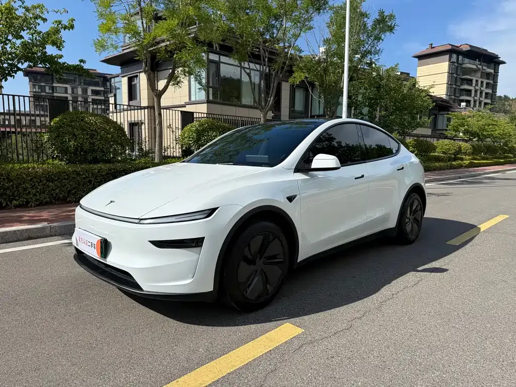 Tesla Model Y — фото 1