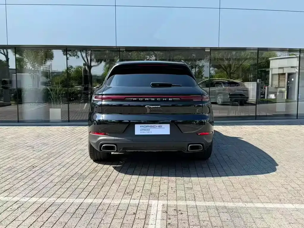Porsche Cayenne — фото 9