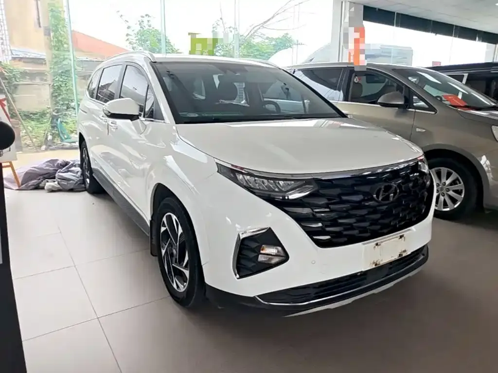 Hyundai Custo — фото 10