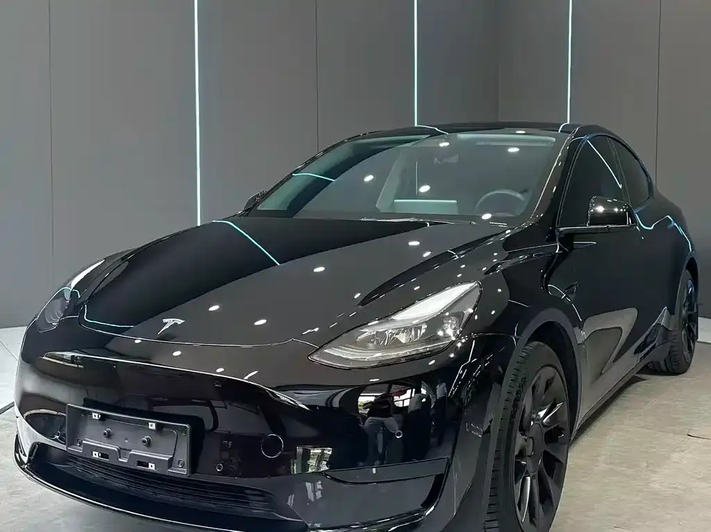 Tesla Model Y — фото 1