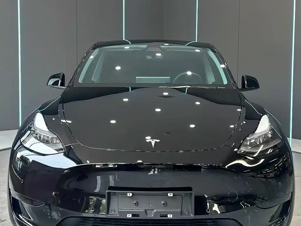 Tesla Model Y — фото 9