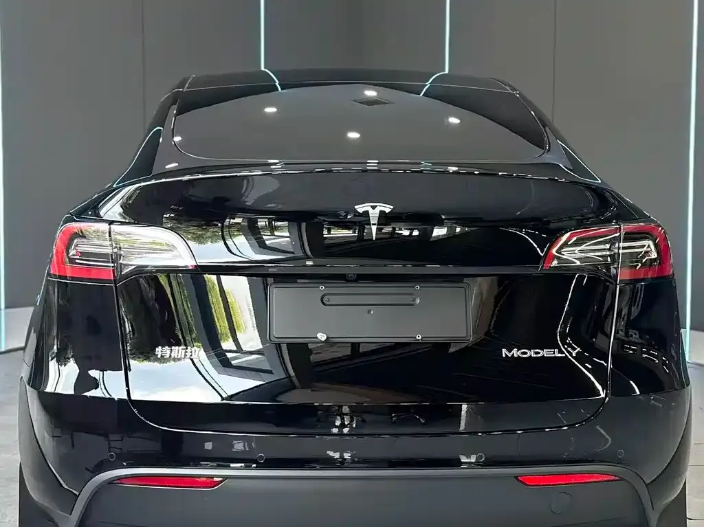 Tesla Model Y — фото 5