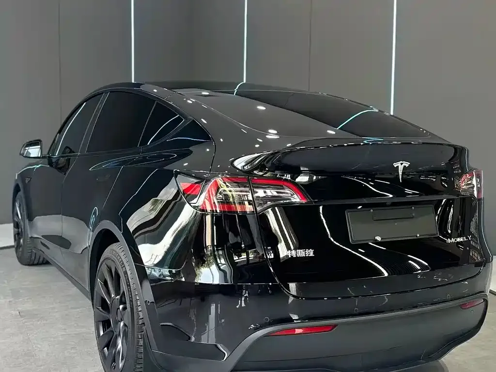 Tesla Model Y — фото 10