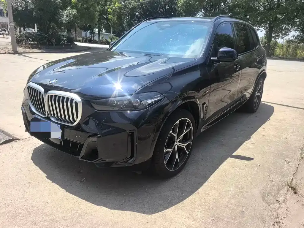 BMW X5 — фото 1
