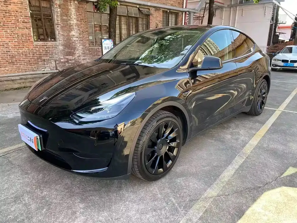 Tesla Model Y — фото 1