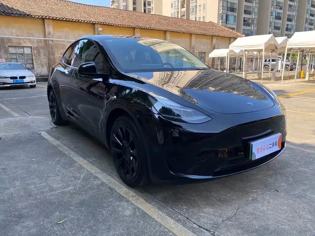 Tesla Model Y — фото 10