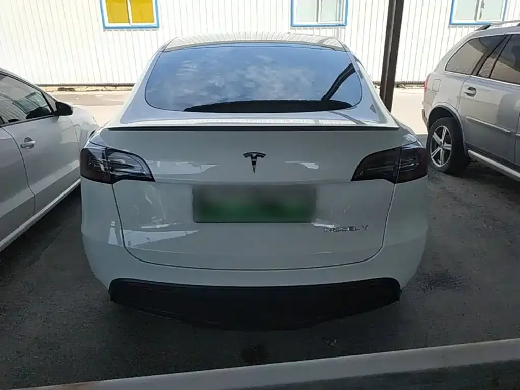 Tesla Model Y — фото 3