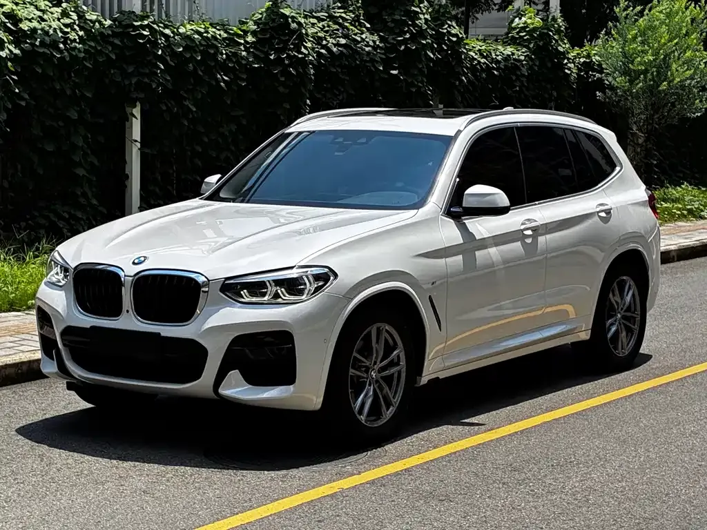 BMW X3 — фото 1