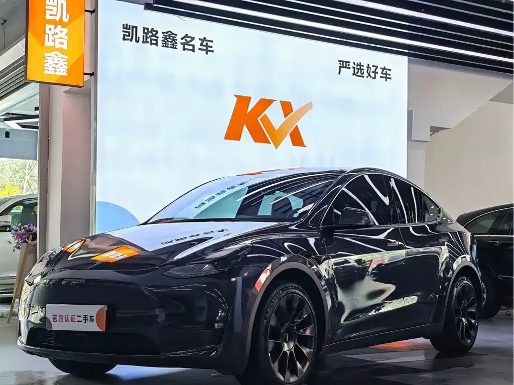 Tesla Model Y — фото 1