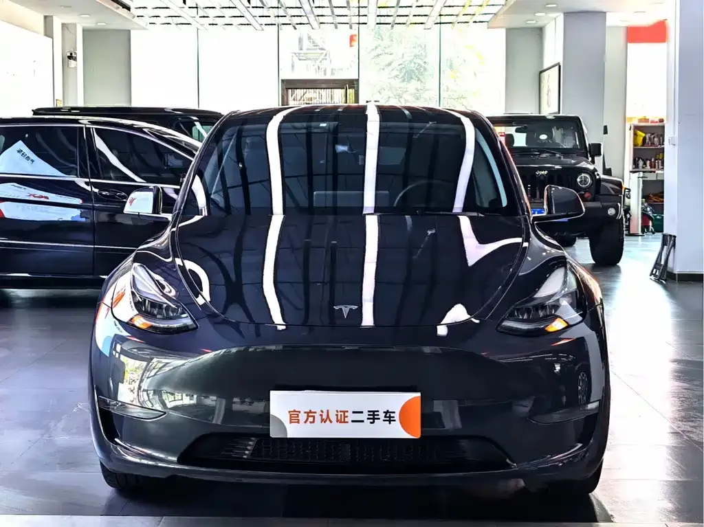 Tesla Model Y — фото 9