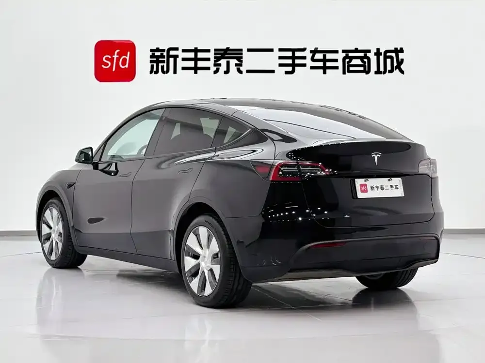 Tesla Model Y — фото 9