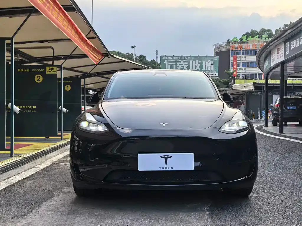 Tesla Model Y — фото 9