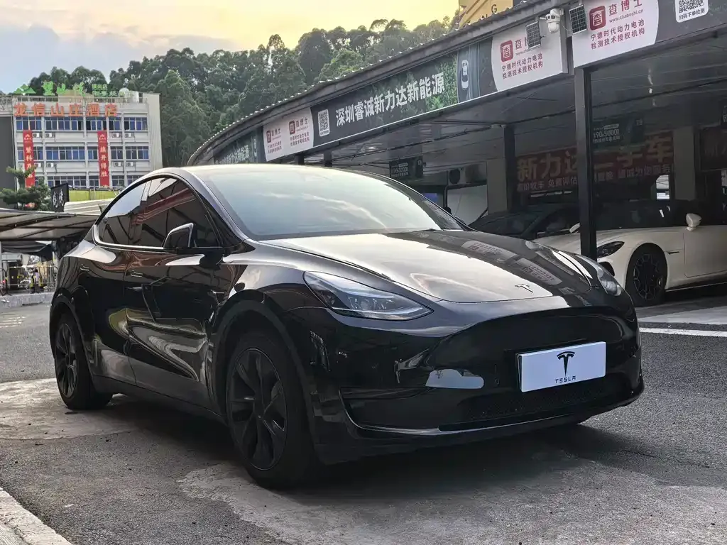 Tesla Model Y — фото 5