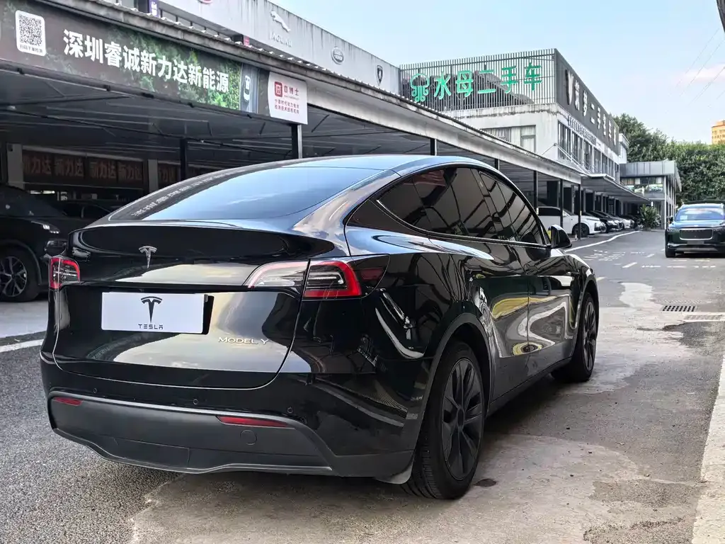 Tesla Model Y — фото 4