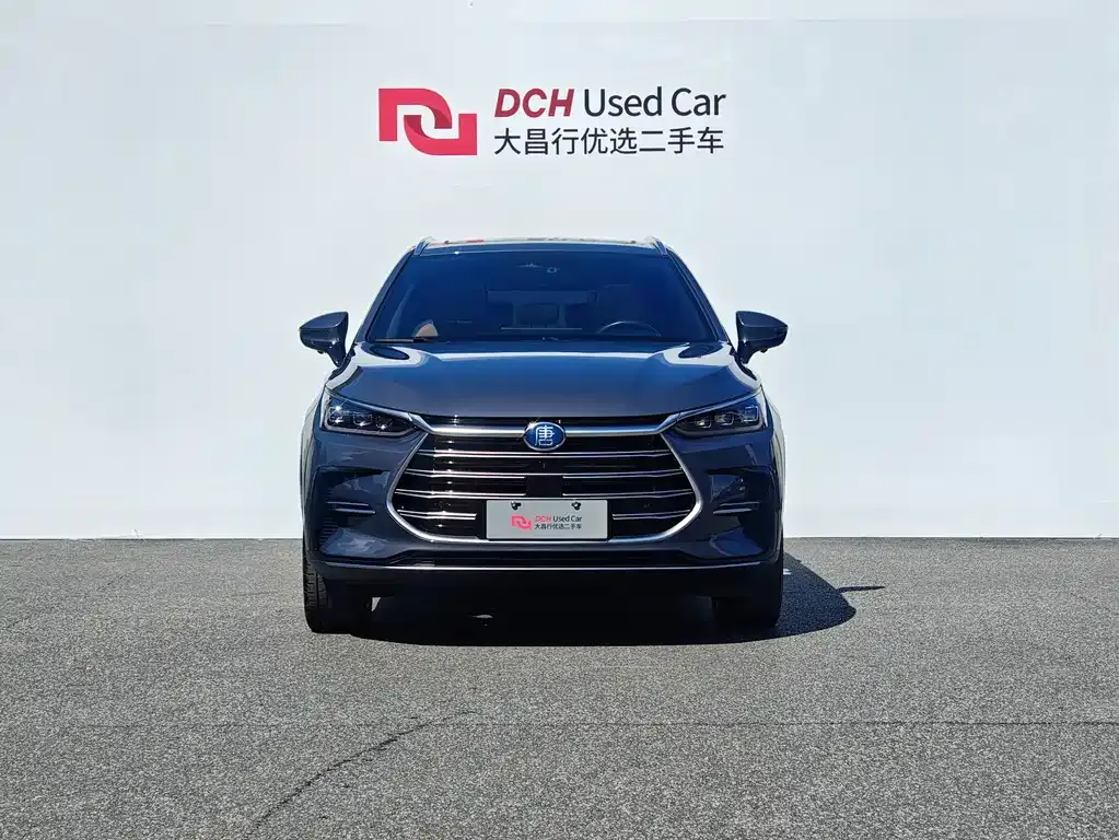BYD Tang New Energy — фото 2