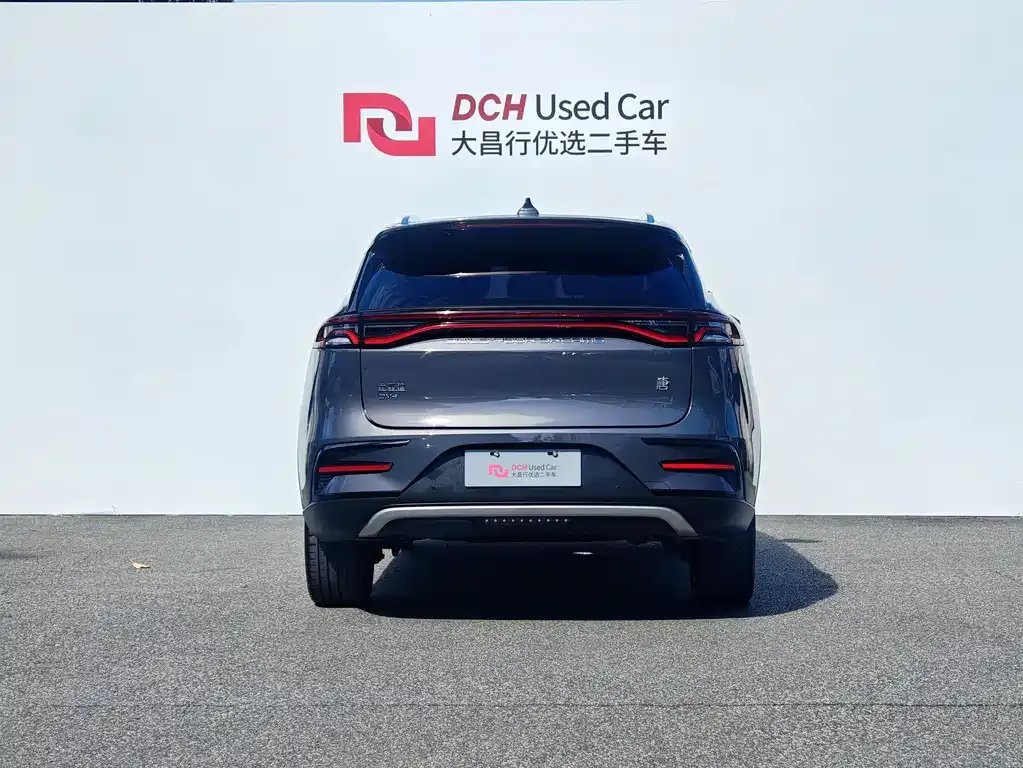 BYD Tang New Energy — фото 10