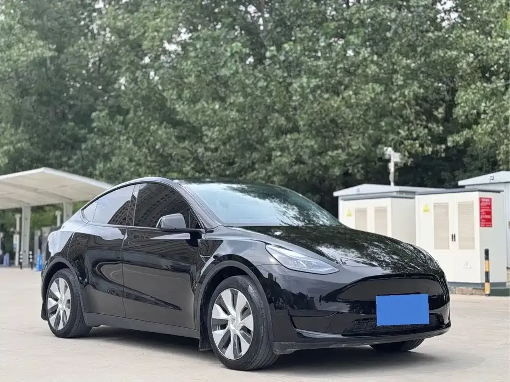 Tesla Model Y — фото 8