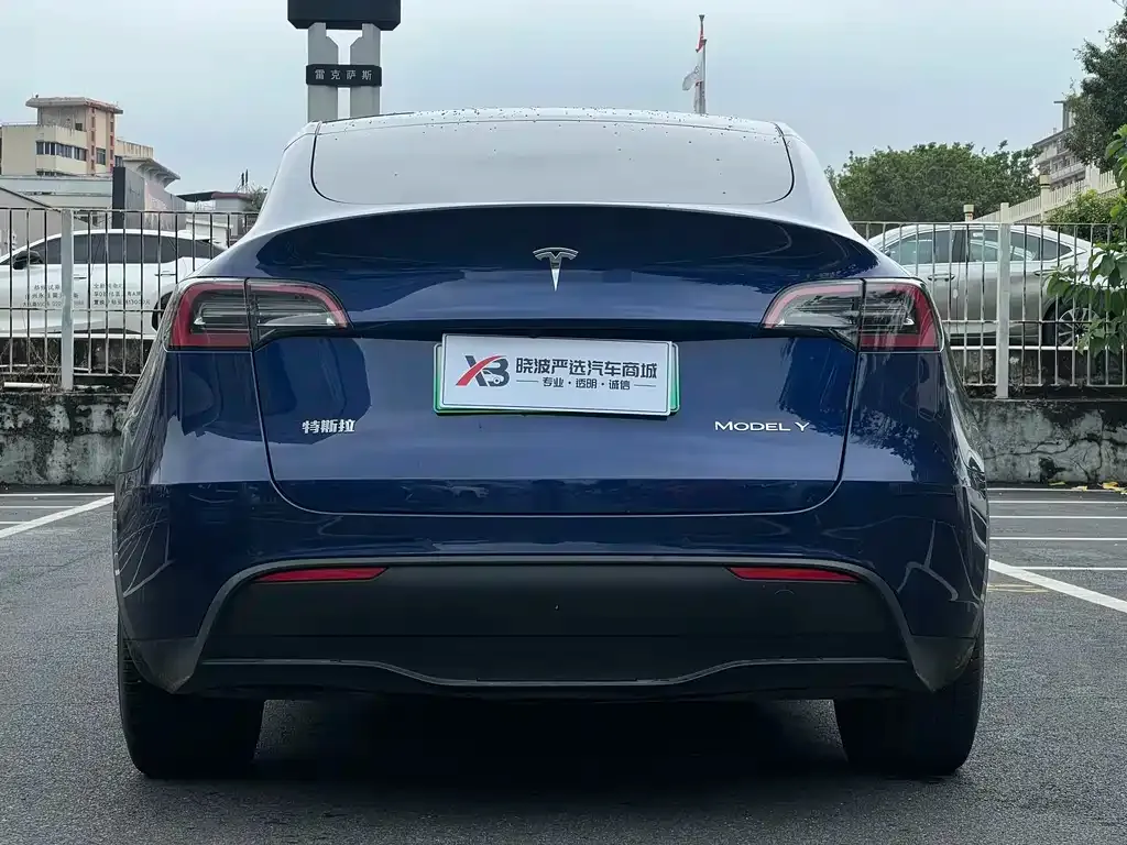Tesla Model Y — фото 10