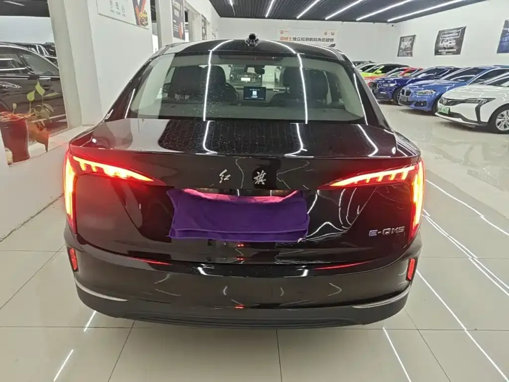 Hongqi E-QM5 — фото 10