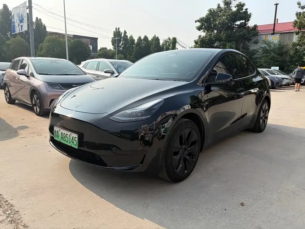 Tesla Model Y — фото 8