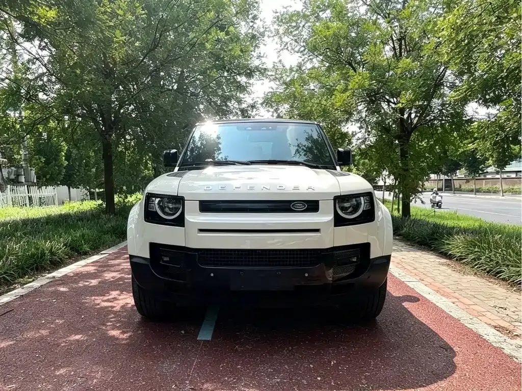 Land Rover Defender — фото 1