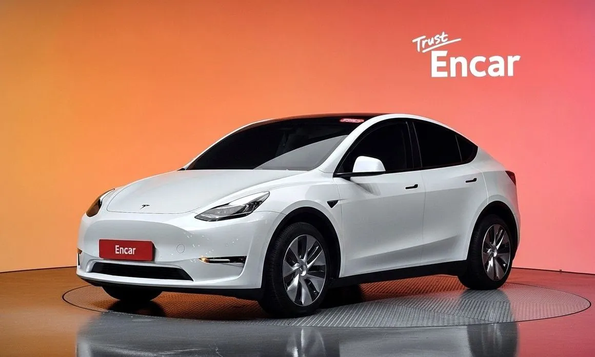Tesla Model Y — фото 1
