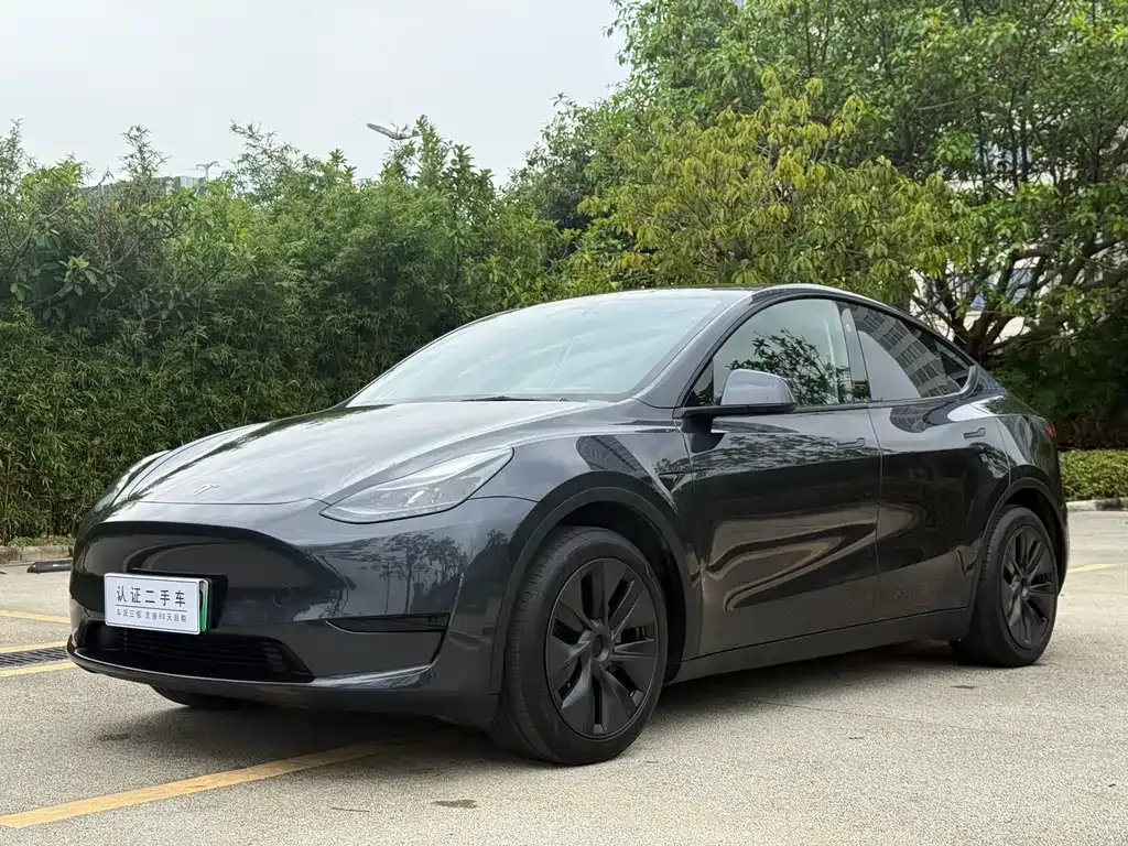 Tesla Model Y — фото 1