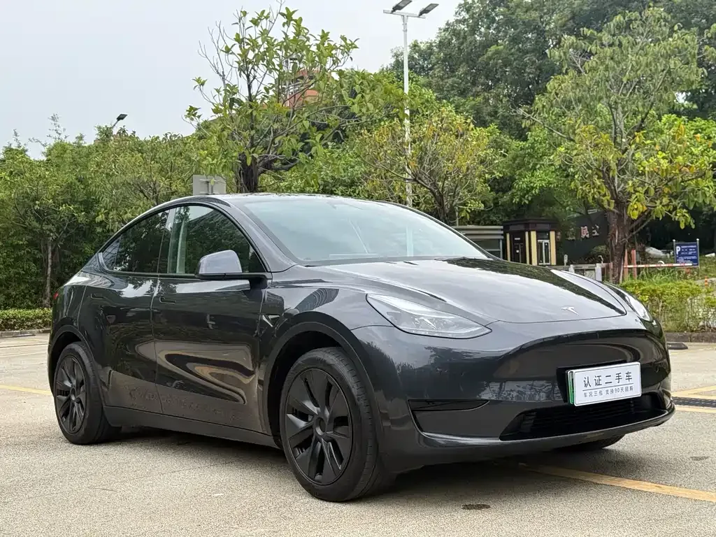 Tesla Model Y — фото 4