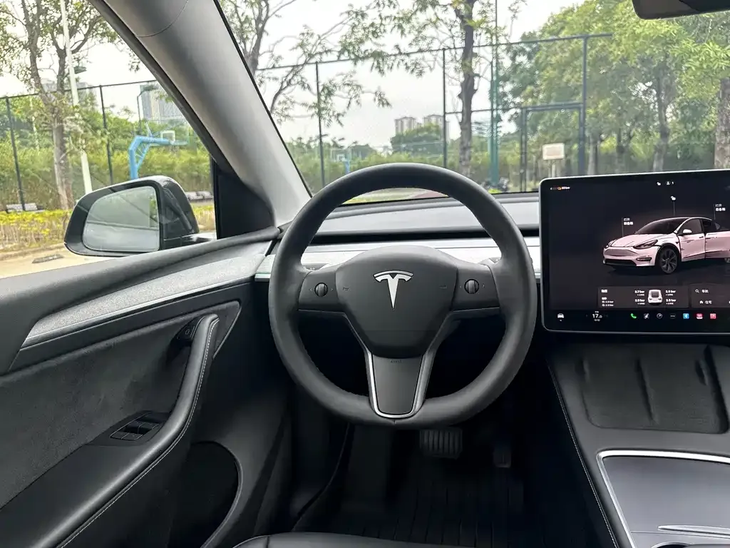 Tesla Model Y — фото 9