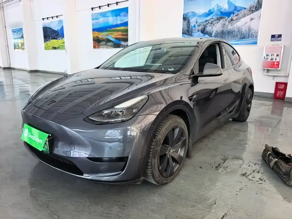 Tesla Model Y — фото 5