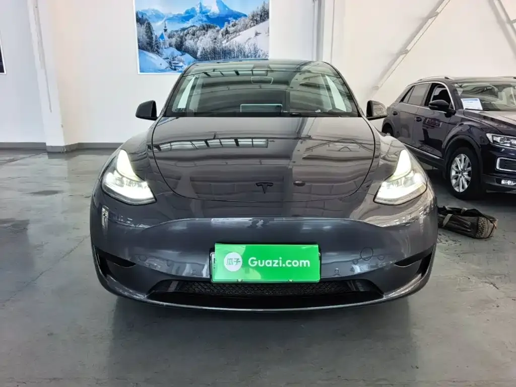 Tesla Model Y — фото 9