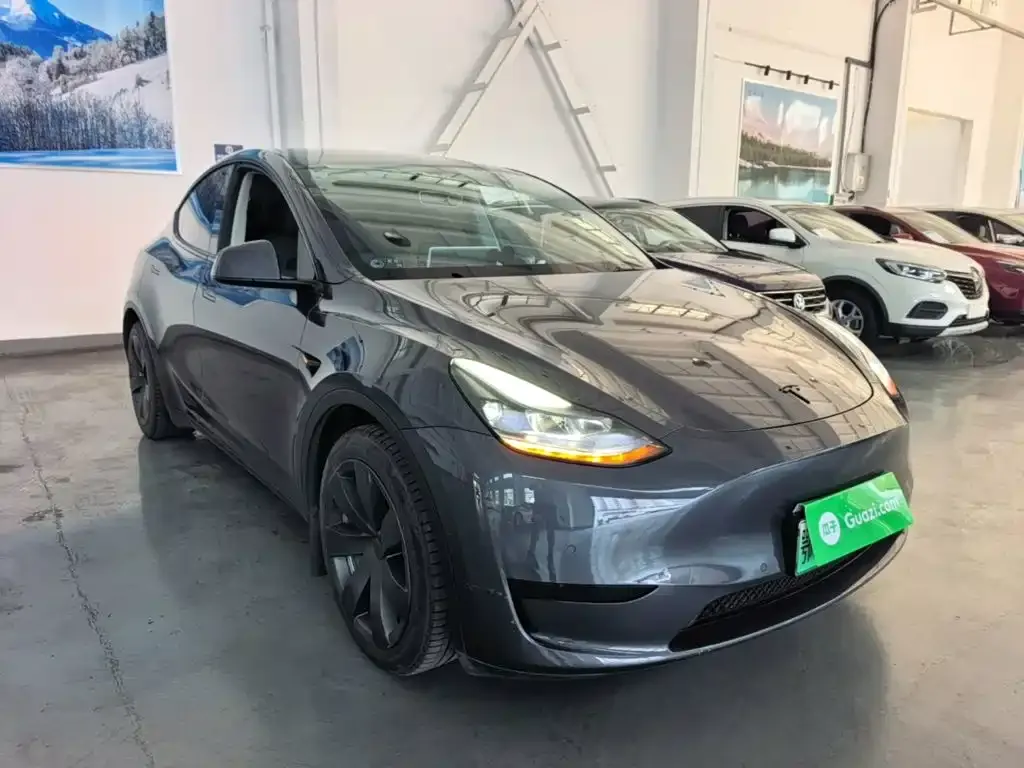 Tesla Model Y — фото 6