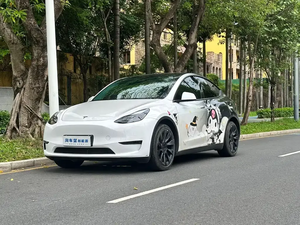 Tesla Model Y — фото 1