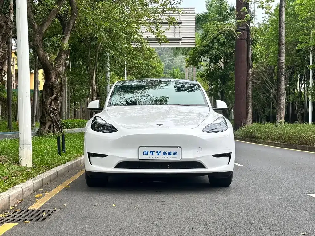 Tesla Model Y — фото 6