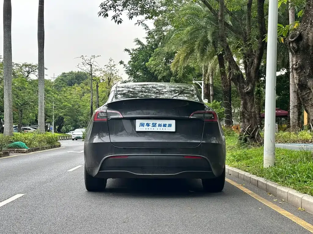 Tesla Model Y — фото 7