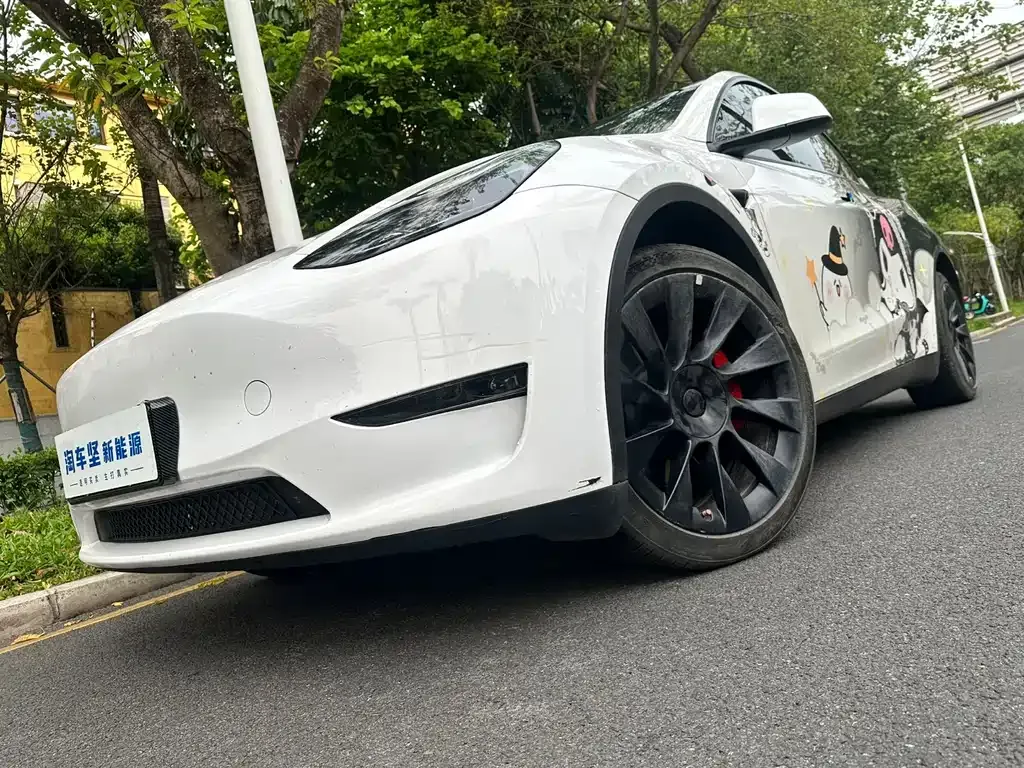 Tesla Model Y — фото 10