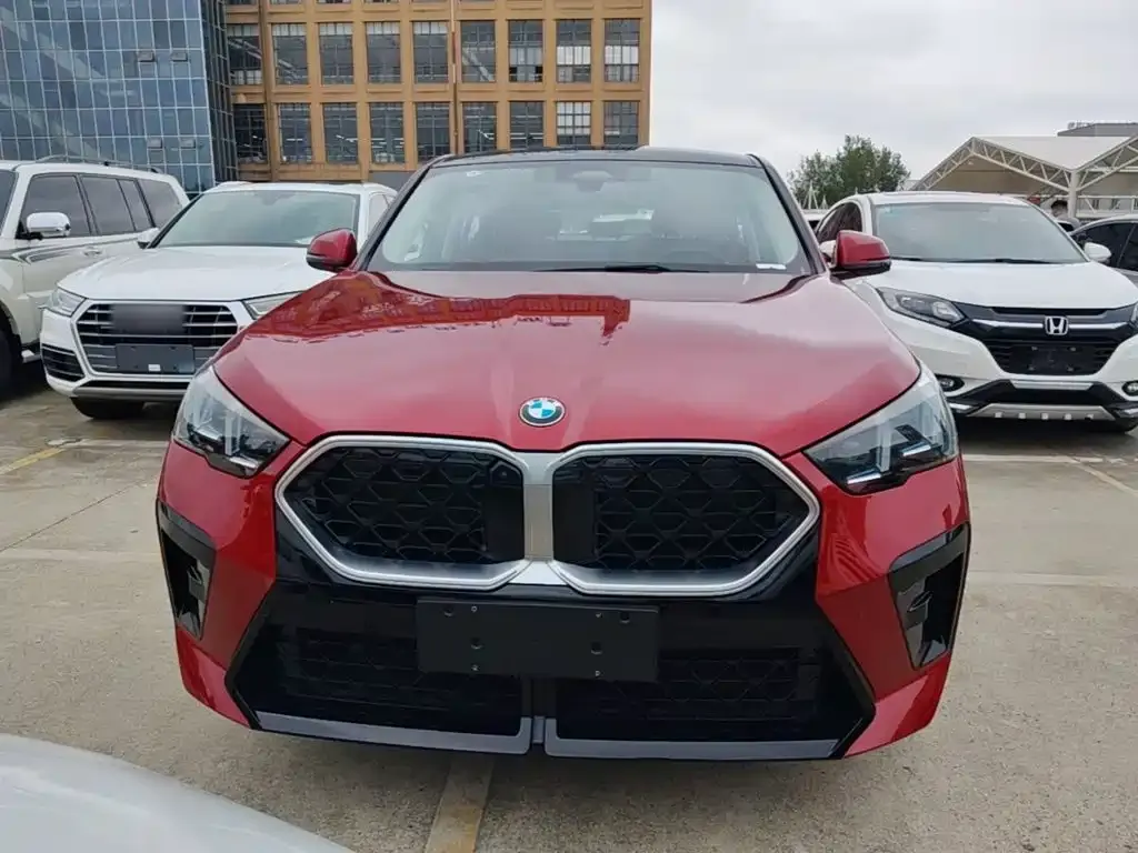BMW X2 (Import) — фото 9