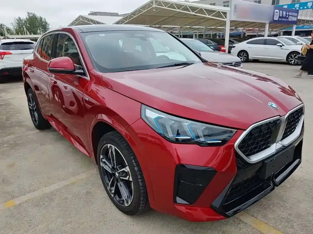 BMW X2 (Import) — фото 3