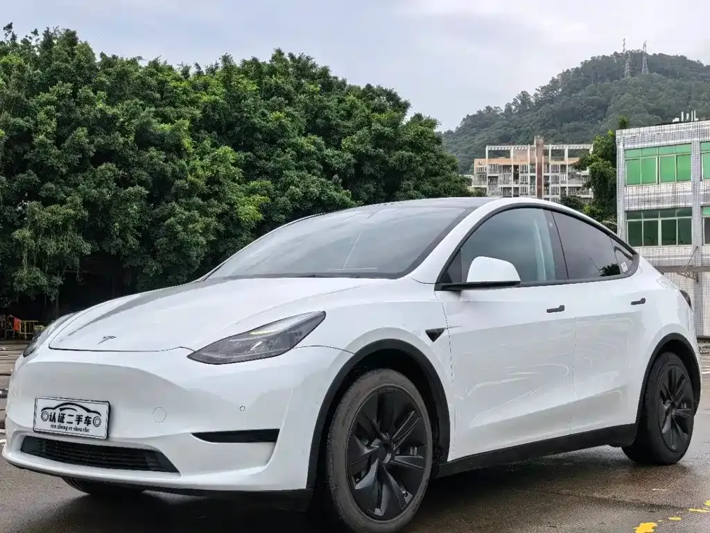 Tesla Model Y — фото 1
