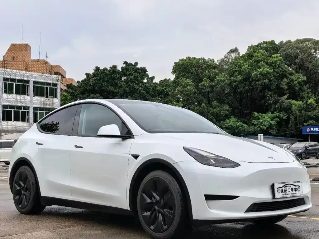 Tesla Model Y — фото 4